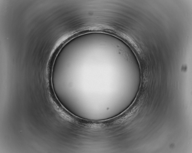 X0000098201122200805011140