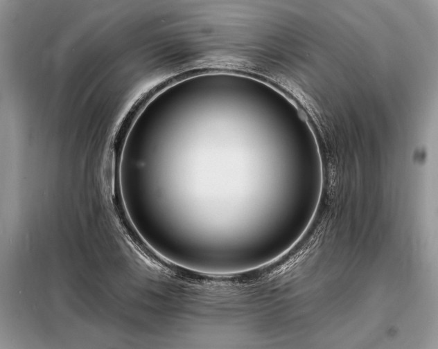 X0000098201123200805011140
