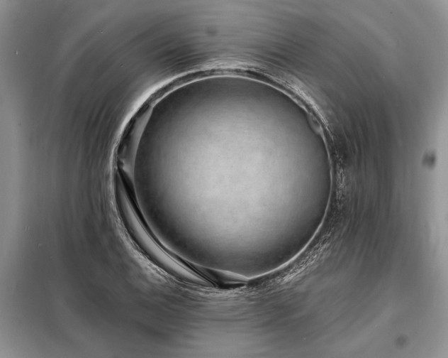 X0000098201124200805011140