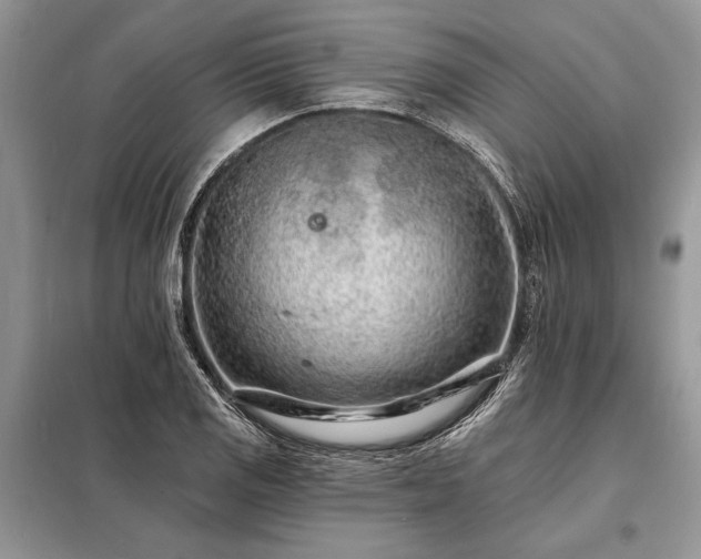 X0000098201125200805011140
