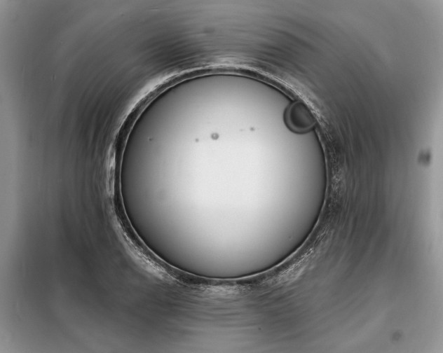 X0000098201126200805011140