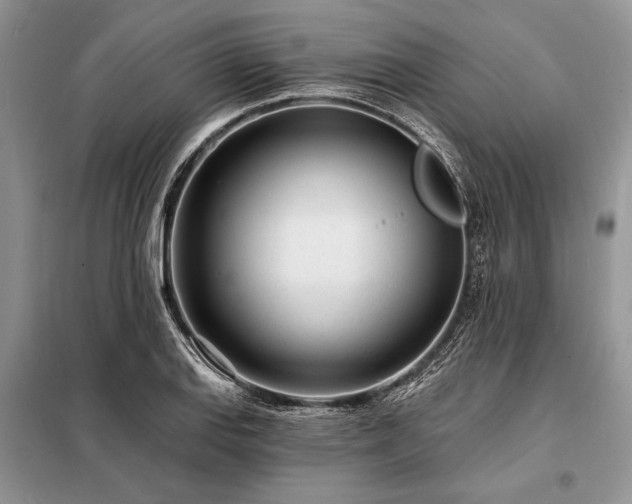 X0000098201127200805011140