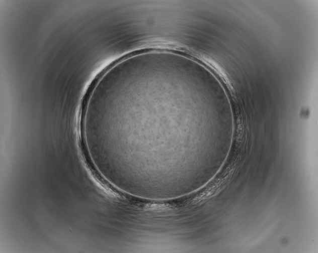 X0000098201128200805011140