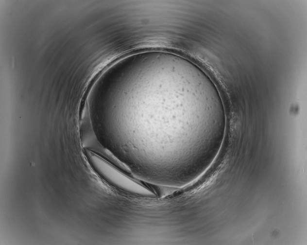 X0000098201129200805011140