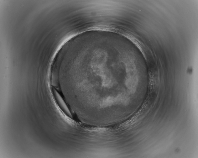 X0000098201131200805011140