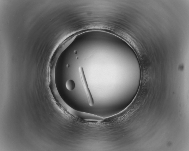 X0000098201132200805011140