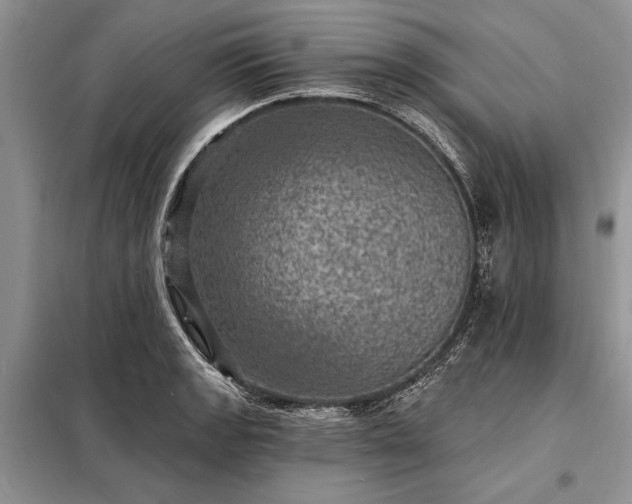X0000098201133200805011140