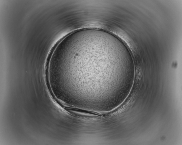 X0000098201135200805011140