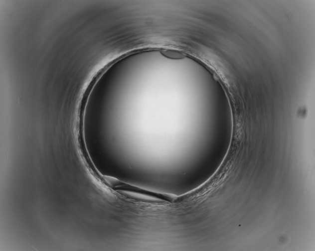 X0000098201136200805011140