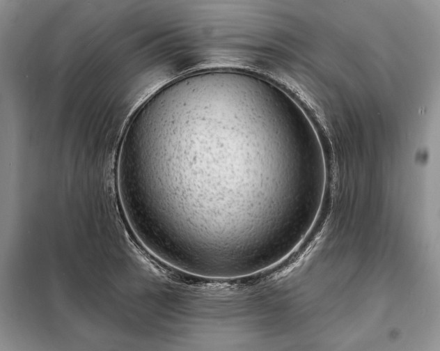 X0000098201137200805011140