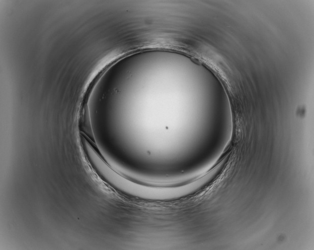 X0000098201138200805011140