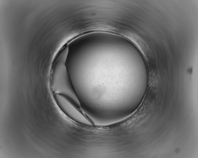 X0000098201139200805011140