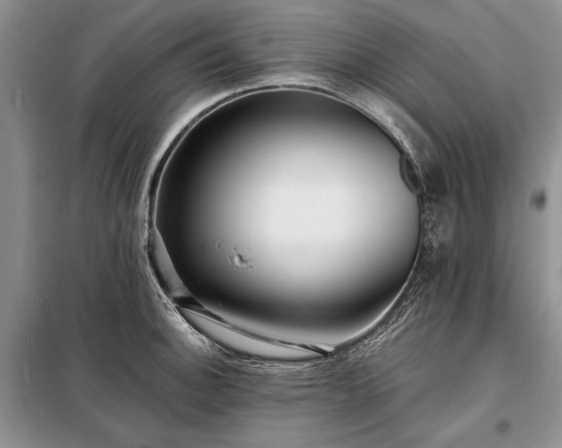 X0000098201140200805011140