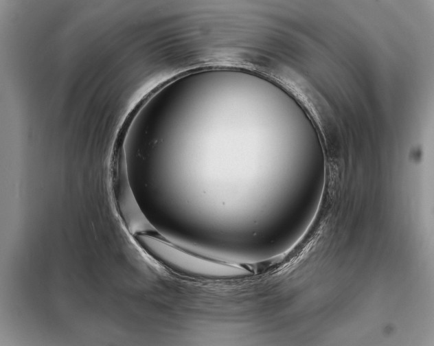 X0000098201141200805011140