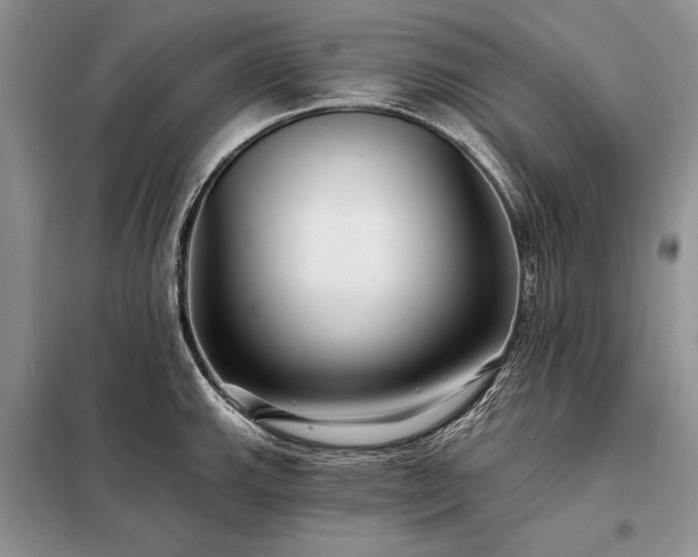 X0000098201143200805011140