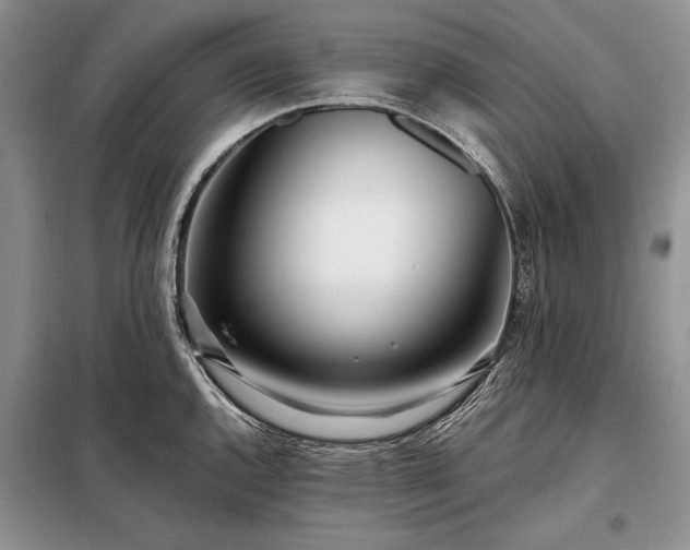 X0000098201144200805011140