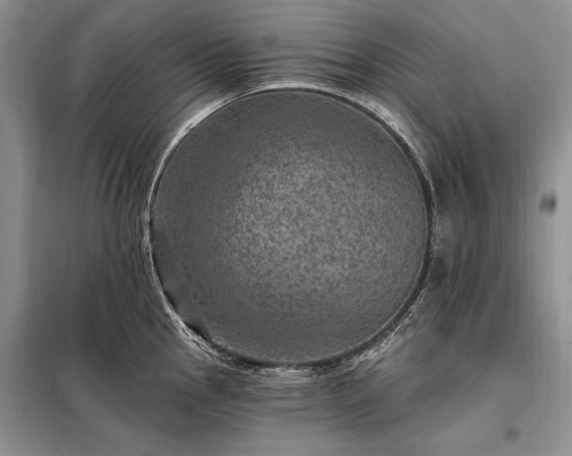 X0000098201145200805011140