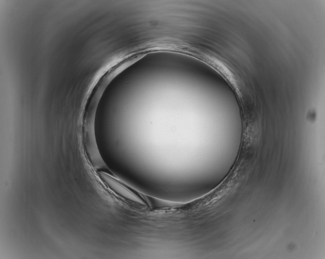 X0000098201146200805011140