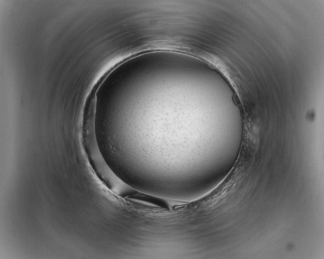 X0000098201147200805011140