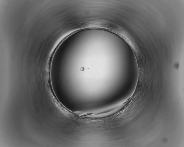 X0000098201148200805011140
