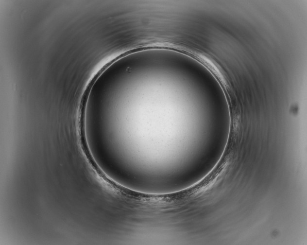 X0000098201149200805011140