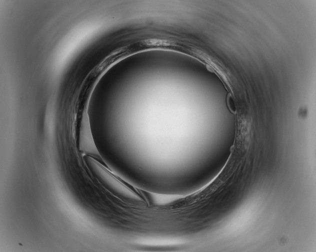 X0000098201151200805011140