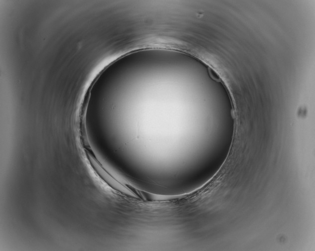 X0000098201152200805011141
