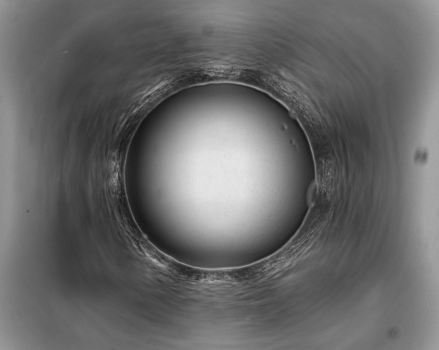 X0000098201154200805011140