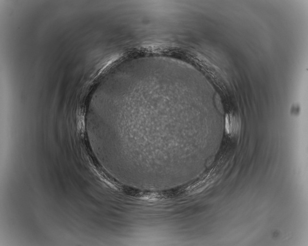 X0000098201155200805011140