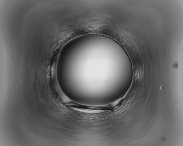 X0000098201156200805011140
