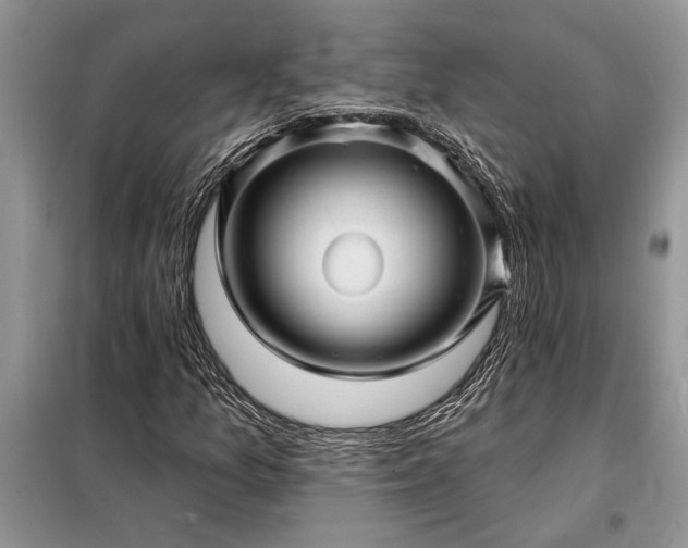 X0000098201157200805011140