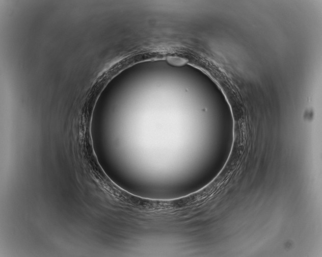 X0000098201158200805011140