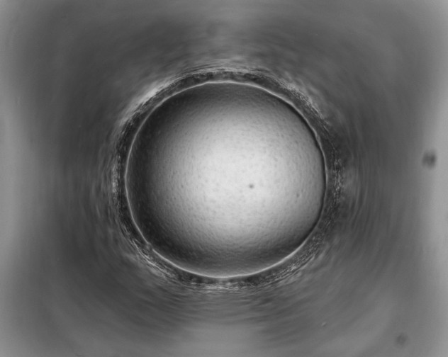 X0000098201159200805011140