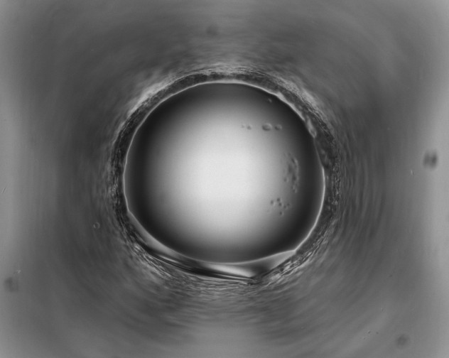 X0000098201160200805011140