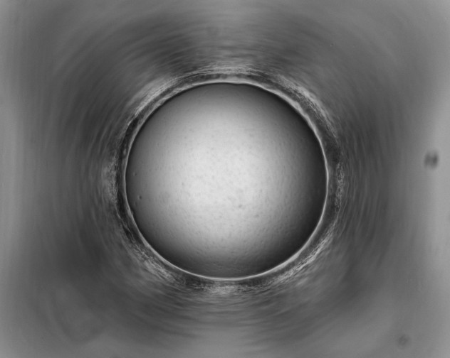 X0000098201162200805011140