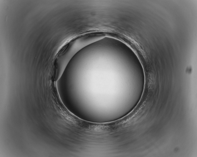 X0000098201163200805011140