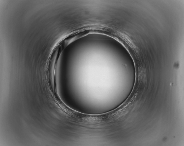 X0000098201164200805011140