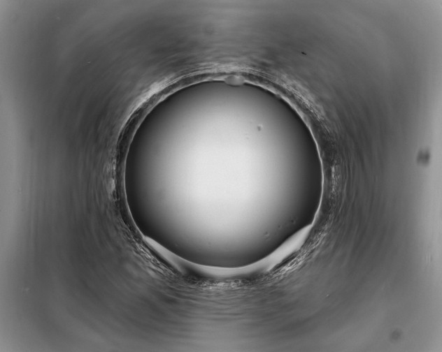 X0000098201165200805011140