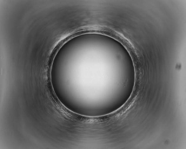 X0000098201166200805011140