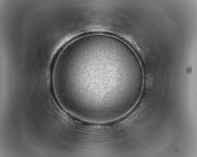X0000098201167200805011140