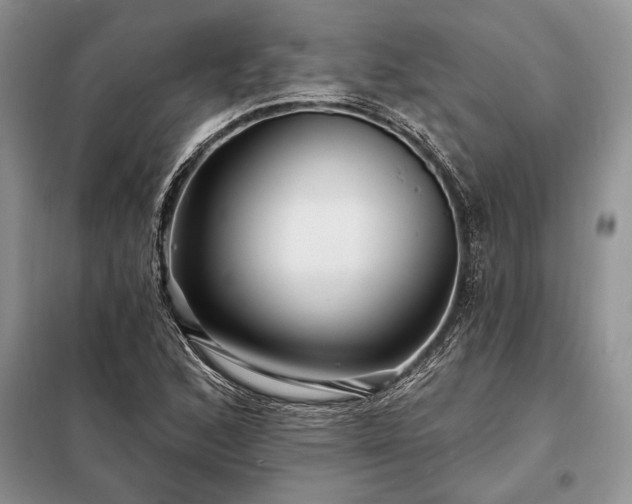 X0000098201168200805011140