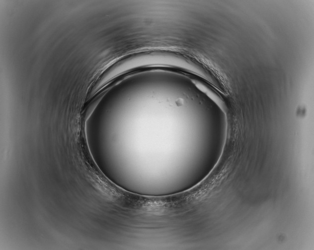 X0000098201169200805011140