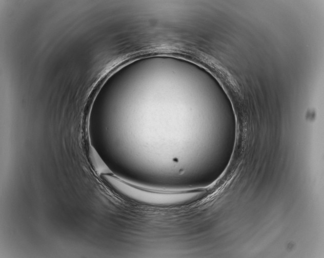 X0000098201170200805011140