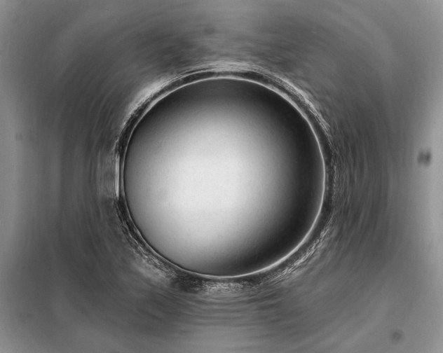 X0000098201171200805011140
