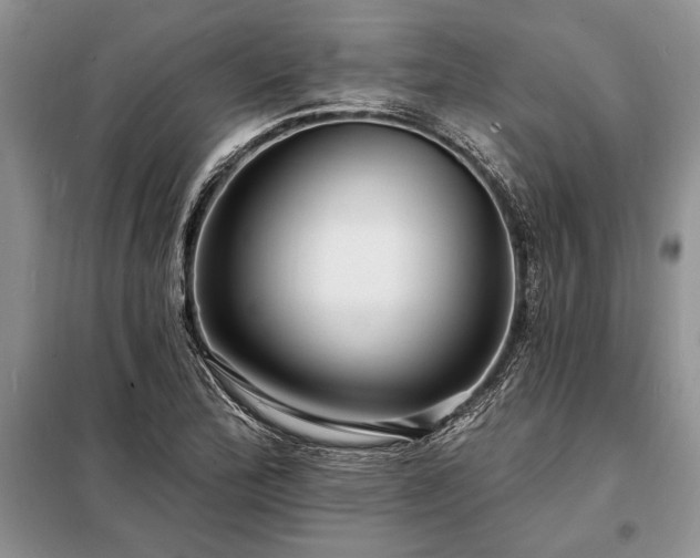 X0000098201172200805011140