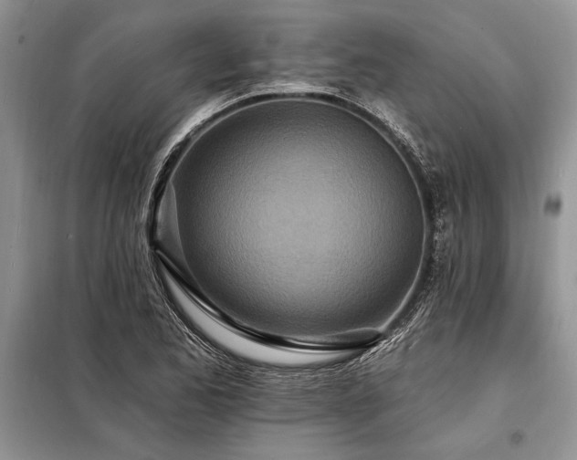 X0000098201173200805011140