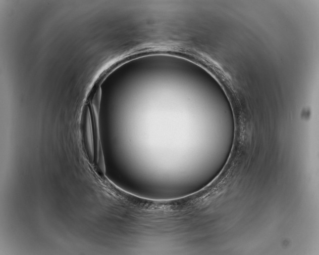 X0000098201174200805011140