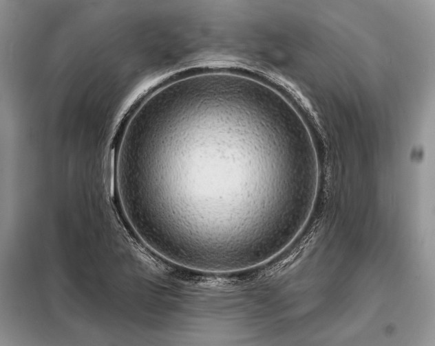 X0000098201175200805011140