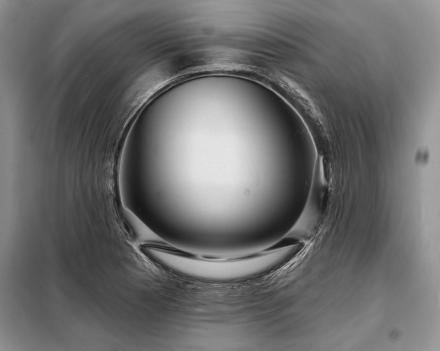 X0000098201177200805011140