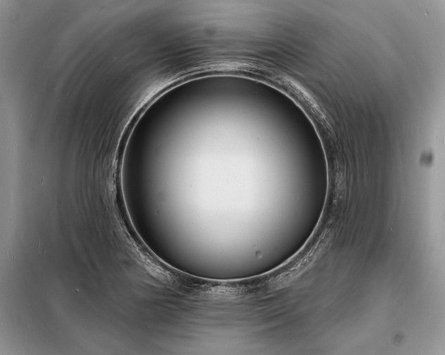 X0000098201178200805011140